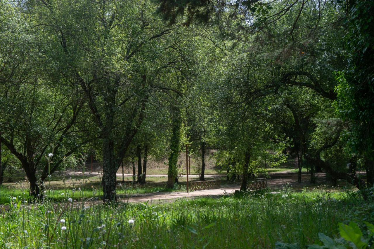 Гостевой дом Casa Do Carvalhal - Natureza No Centro Da Cidade Санта-Мария-да Фейра Экстерьер фото