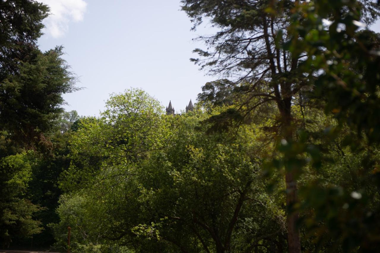 Гостевой дом Casa Do Carvalhal - Natureza No Centro Da Cidade Санта-Мария-да Фейра Экстерьер фото